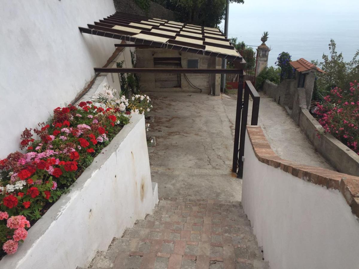 לינה וארוחת בוקר Vietri Casa Flora מראה חיצוני תמונה