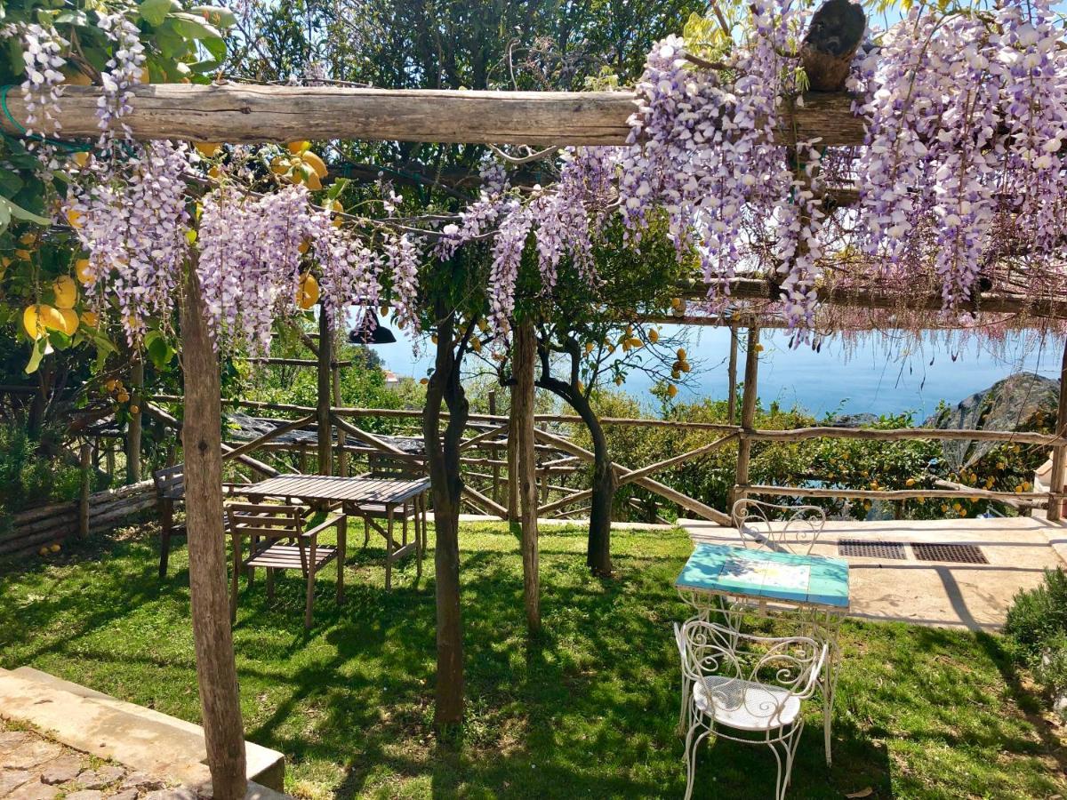 לינה וארוחת בוקר Vietri Casa Flora מראה חיצוני תמונה