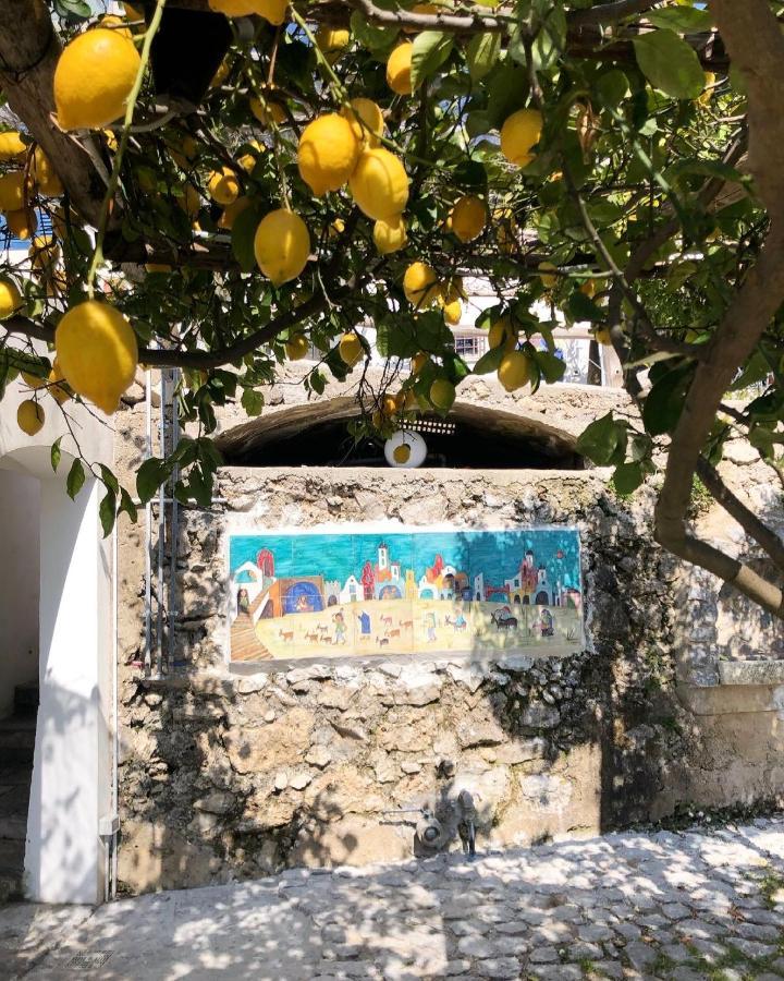 לינה וארוחת בוקר Vietri Casa Flora מראה חיצוני תמונה