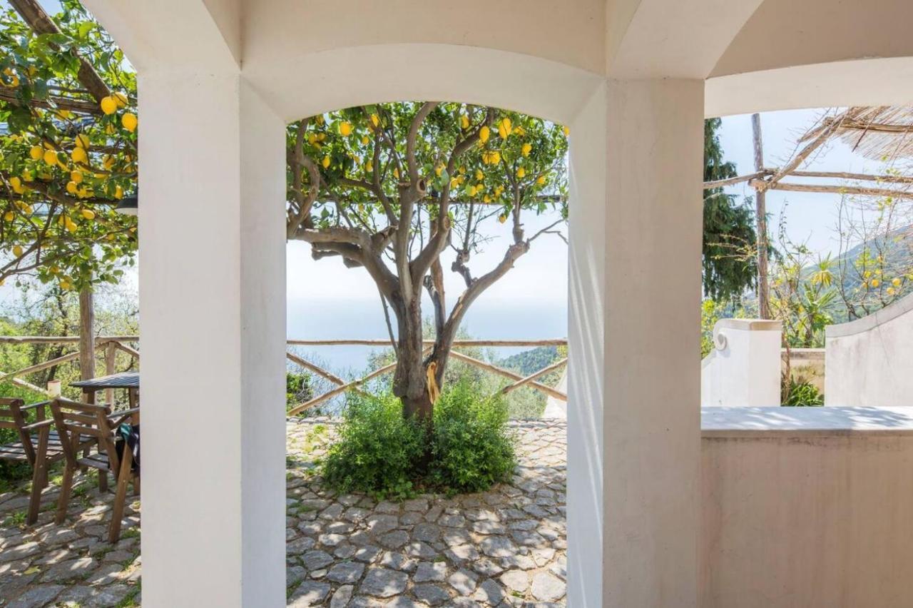 לינה וארוחת בוקר Vietri Casa Flora מראה חיצוני תמונה