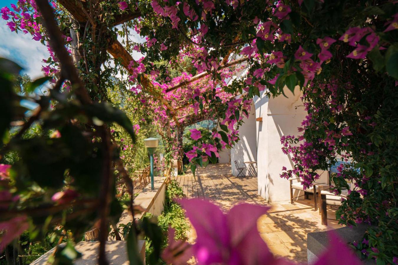 לינה וארוחת בוקר Vietri Casa Flora מראה חיצוני תמונה